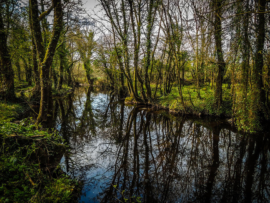 Landscape Photograph - Reflections at Yeats Thoor Ballylee by James Truett