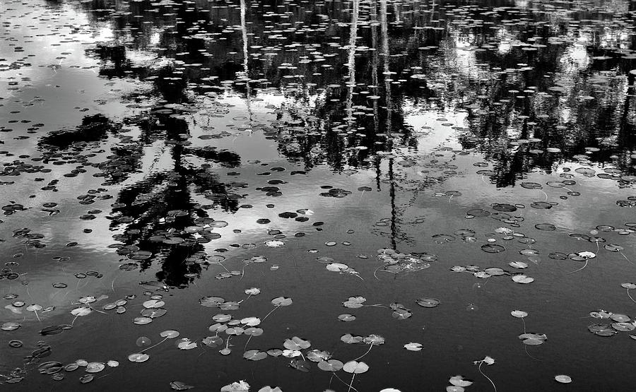 Reflections BW  Photograph by Lyle Crump