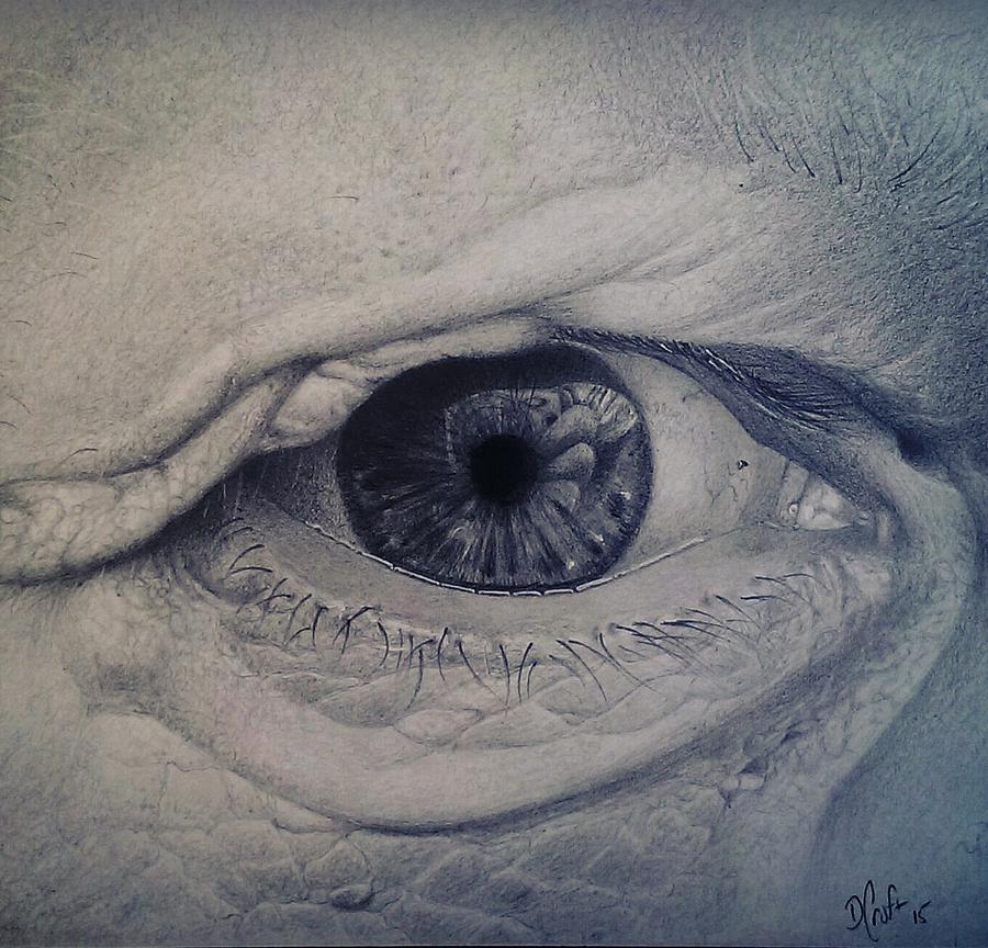 Eye Drawing - Reflections by Danny Croft