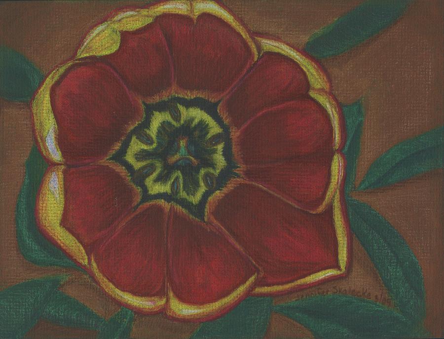 Tulip Drawing - Reflections from Grandmas Garden - Tulip by Jennifer Skalecke