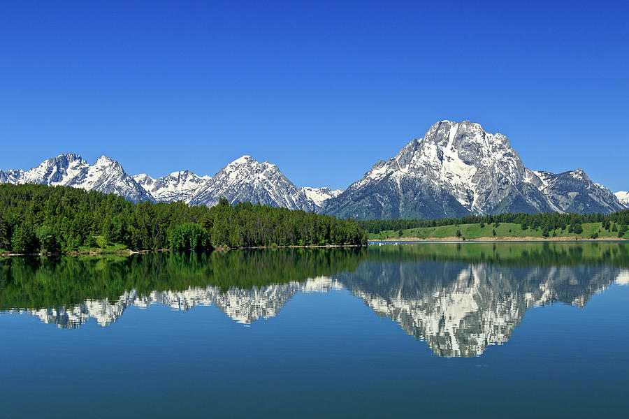 Reflections From Jackson Lake Photograph By Joan Escala