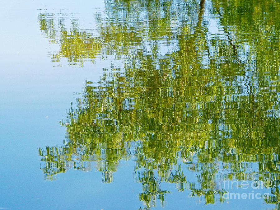 Reflections From The Pond Photograph