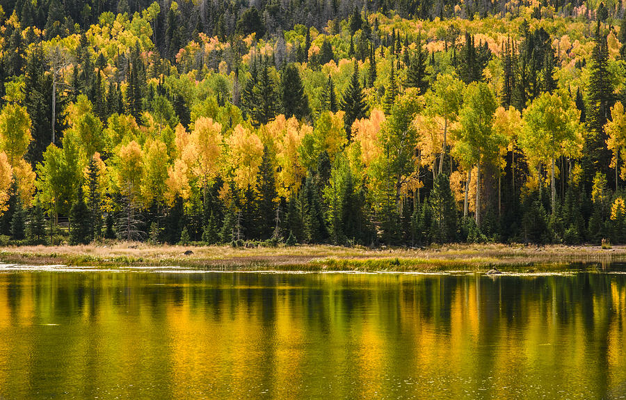 Reflections Photograph by Gabriel De Leon - Fine Art America