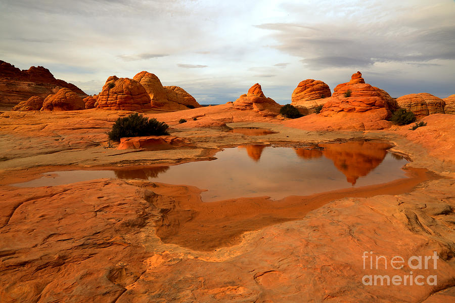 Reflections In A Desolate Landscape Photograph by Adam Jewell