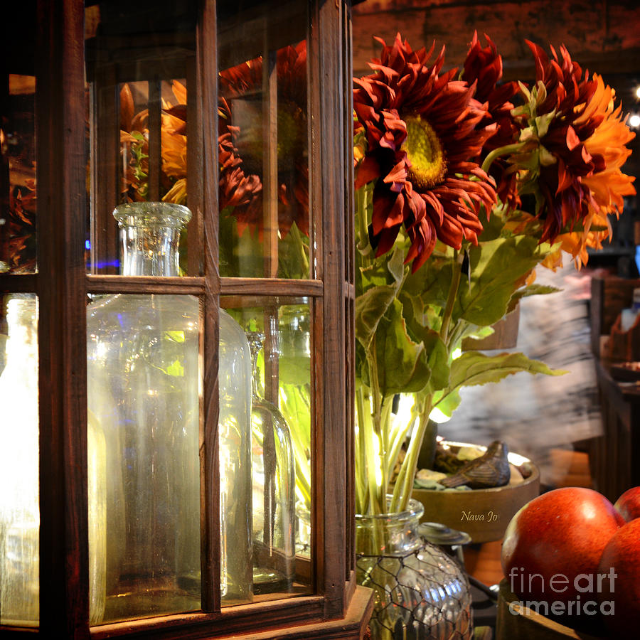Flower Photograph - Reflections In A Glass Bottle by Nava Thompson