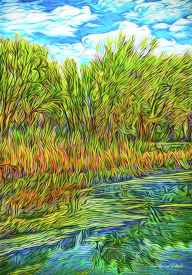 Reflections In A Jade Pond Digital Art by Joel Bruce Wallach