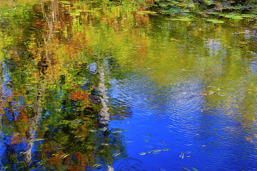 Reflections in a Pond Photograph by Gary Hall