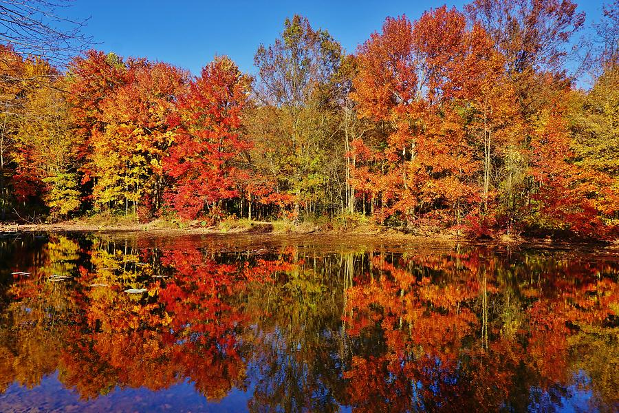 Reflections in Autumn Photograph by Ed Sweeney
