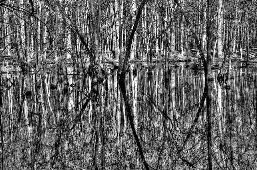 Reflections in Black and White Photograph by Greg Weber - Fine Art America