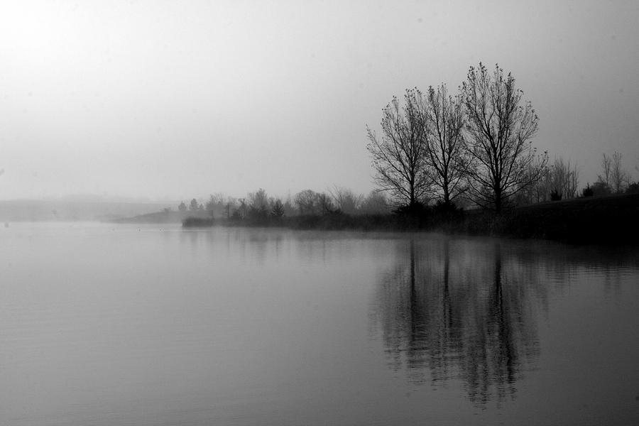 Reflections in Black and White Photograph by Julie Lueders 