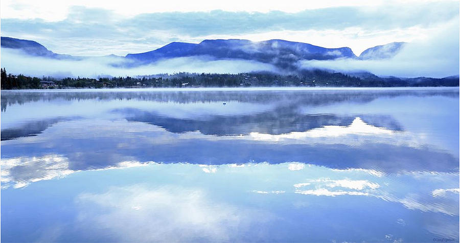 Reflections in Blue Photograph by Cissy Fry Wilson