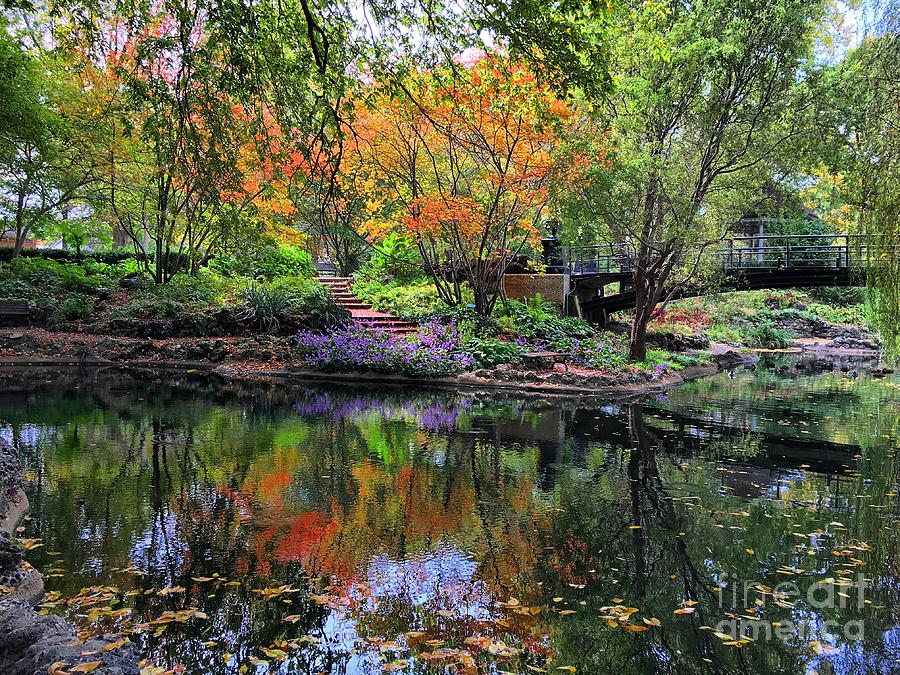 Tree Photograph - Reflections In Color At Lafayette Park by Debbie Fenelon
