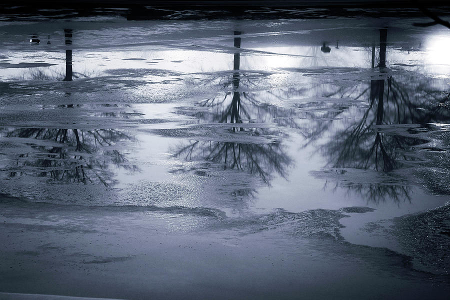 Reflections In Ice Photograph