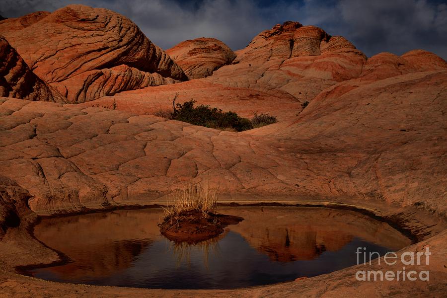 Reflections In The Candy Cliffs Photograph by Adam Jewell