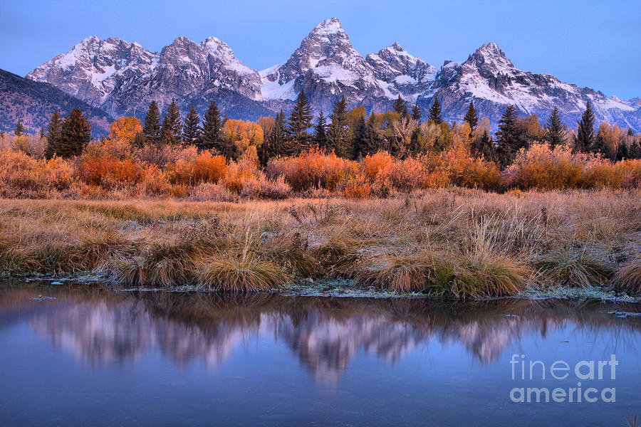 Reflections In The Fall Willows Photograph by Adam Jewell