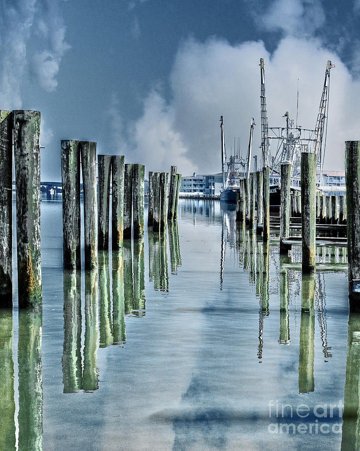 Nature Photograph - Reflections in the Marina by Tom Gari Gallery-Three-Photography