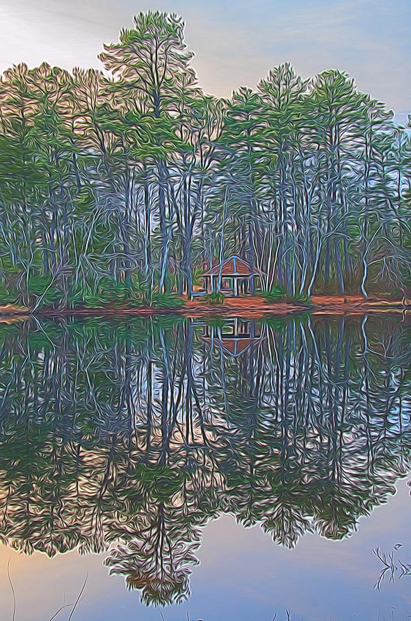 Reflections in the Pines Digital Art by Beth Sawickie