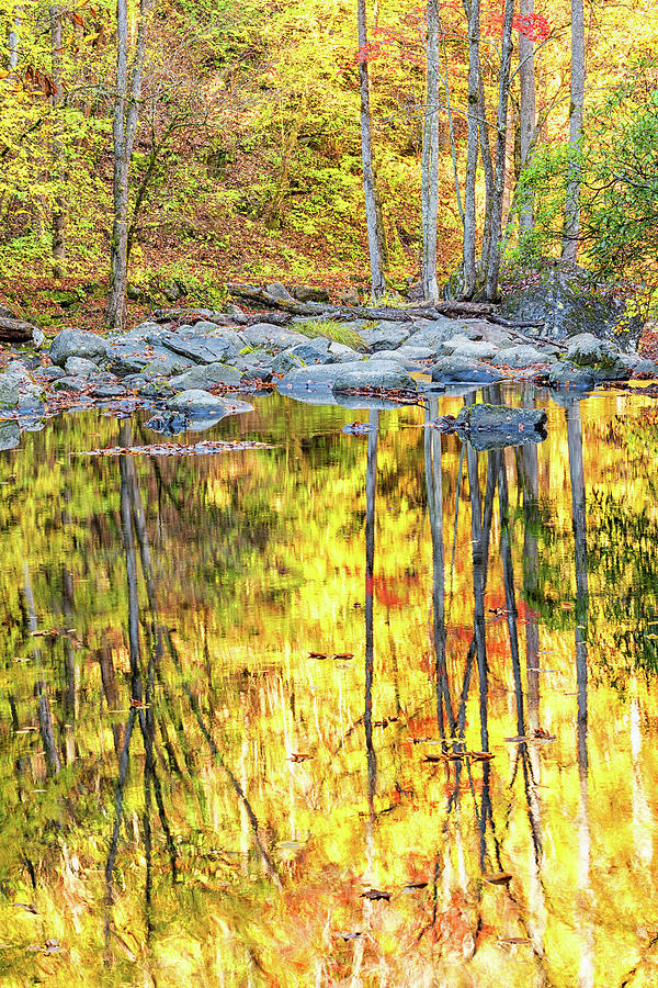 Reflections in the River Photograph by Victor Culpepper