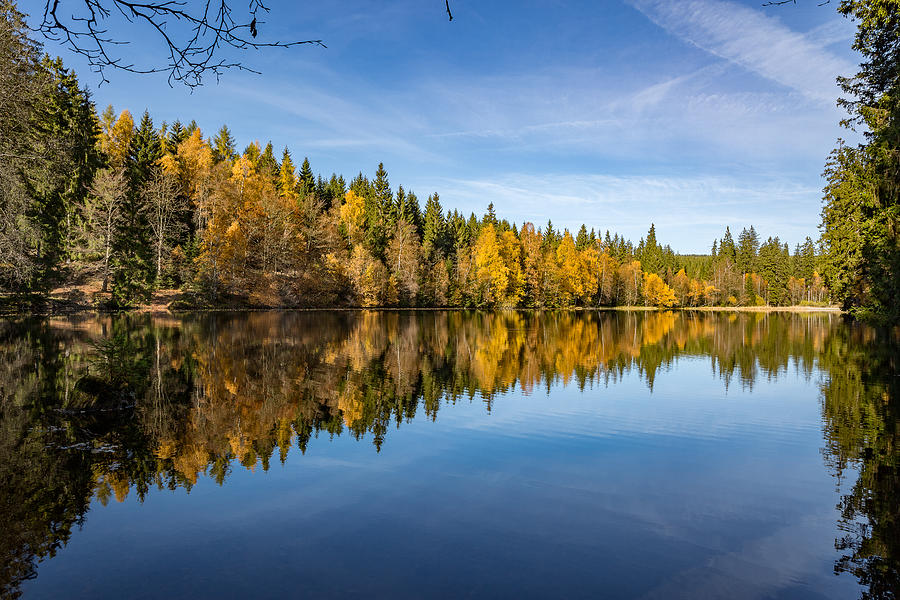 Reflections in the Silberteich, Harz Photograph by Andreas Levi