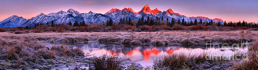Reflections In The Teton Willows Panorama Photograph by Adam Jewell