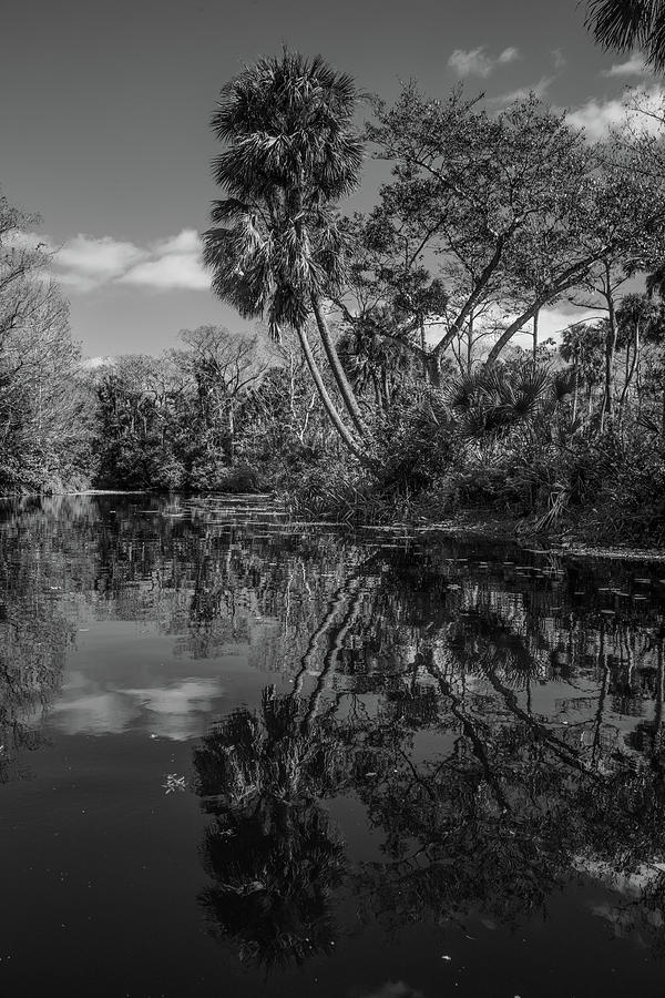 Reflections in the Tropics Photograph by Debra and Dave Vanderlaan