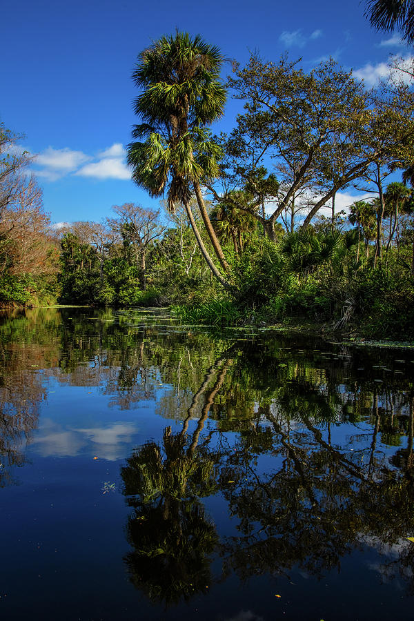 Reflections in the Tropics in Vivid Colors Photograph by Debra and Dave Vanderlaan