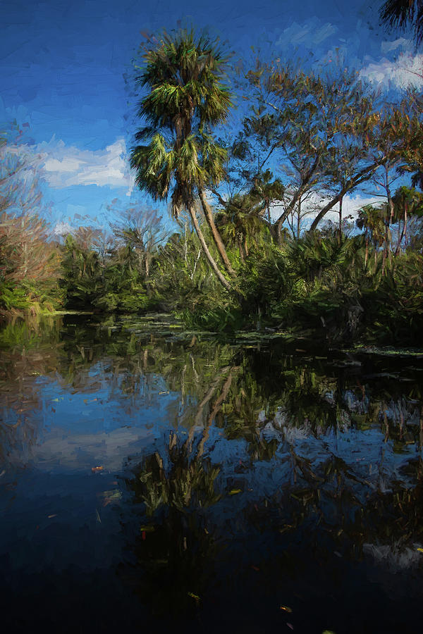 Reflections in the Tropics Oil Painting Photograph by Debra and Dave Vanderlaan