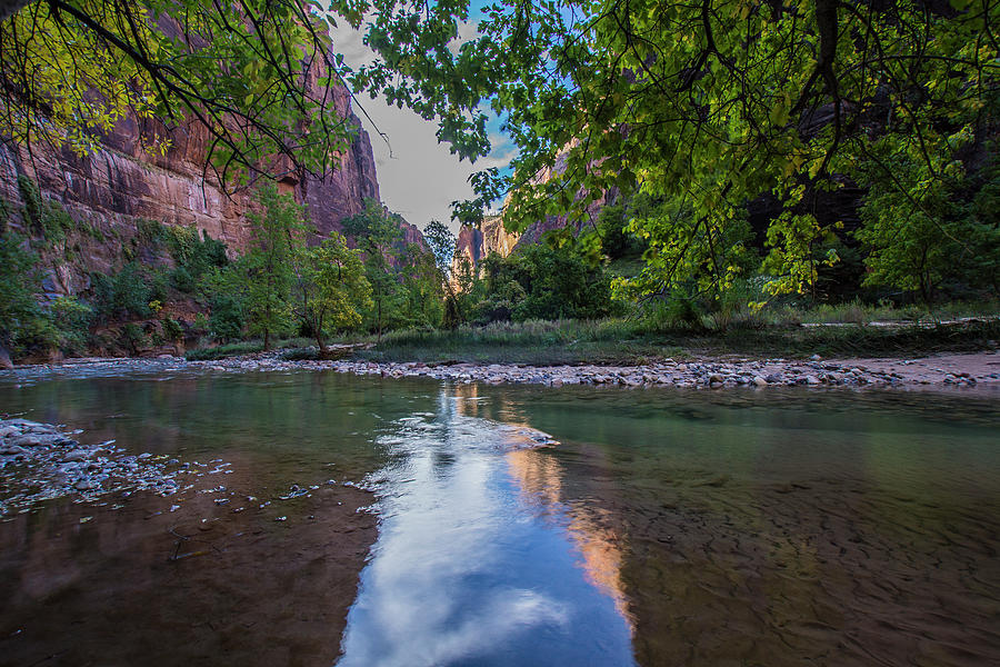 Reflections in the Virgin River Zion national Park. Photograph by Donald Pash