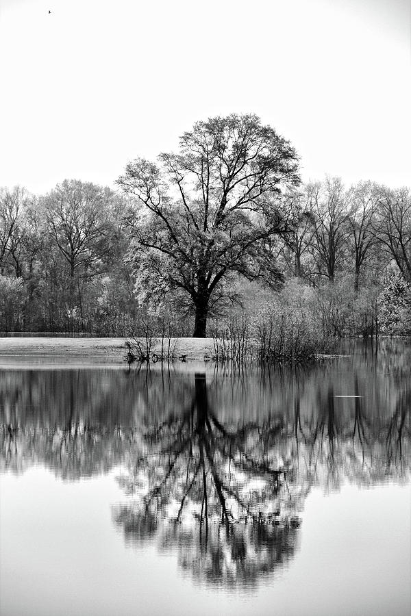 Reflections in the Water Photograph by Greg Sharpe