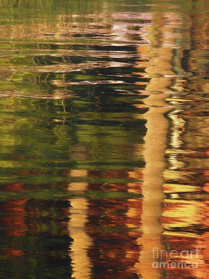 Reflections in Tidal Water Photograph by Scott Cameron