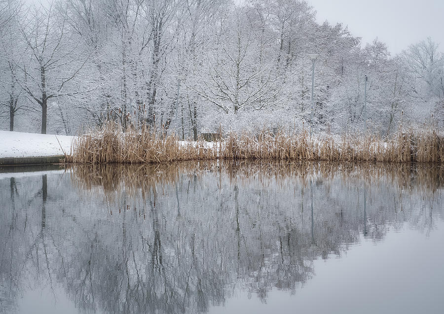 Reflections in Winter Photograph by Miguel Winterpacht