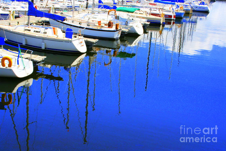 Reflections Photograph by Julie Lueders 