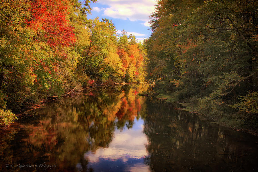 Reflections of Autumn Photograph by C  Renee Martin