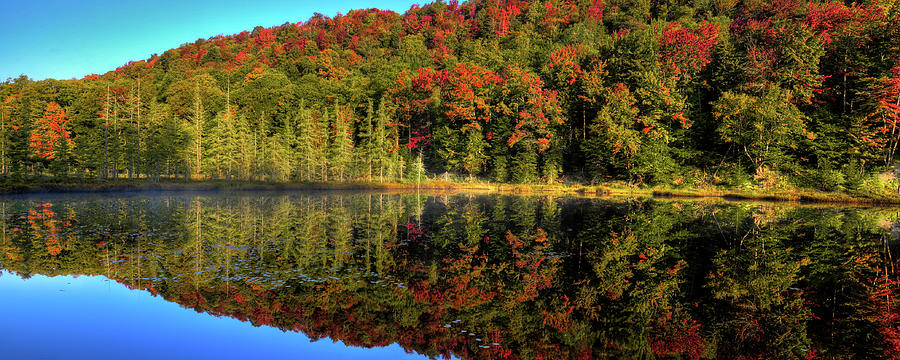 Reflections of Autumn Photograph by David Patterson