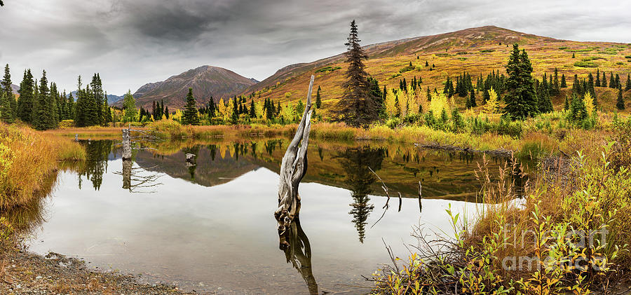 Reflections of Autumn in Alpine Lake Photograph by Mike Toms - Fine Art ...