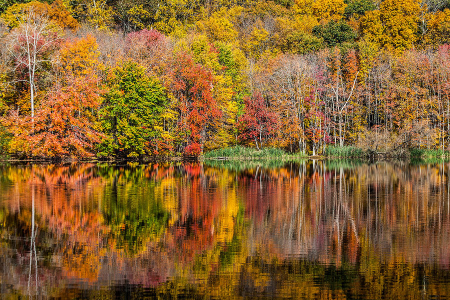 Reflections Of Autumn Photograph by Karol Livote