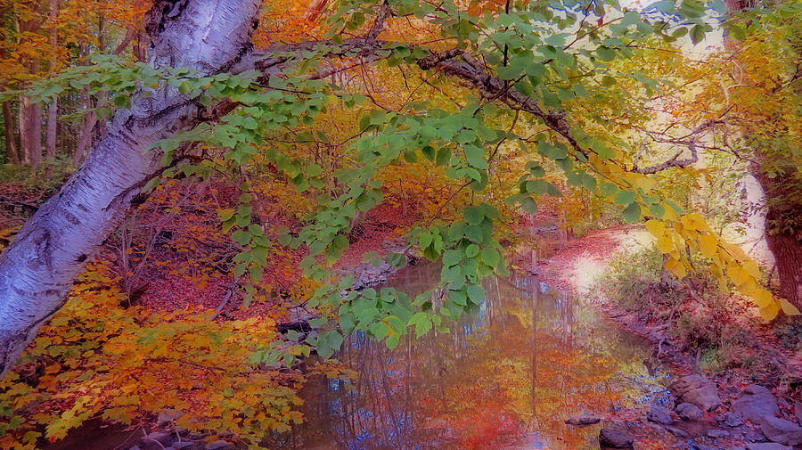 Reflections Of Autumn Digital Art by Kay Novy