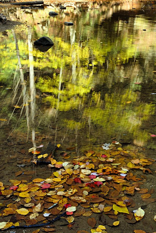 Reflections of Autumn Photograph by Larry Ricker
