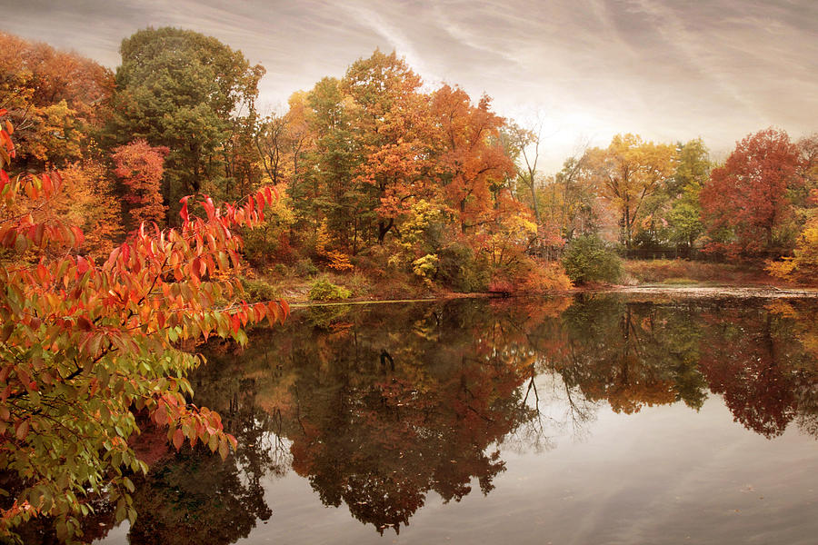 Reflections of Autumns End Photograph by Jessica Jenney