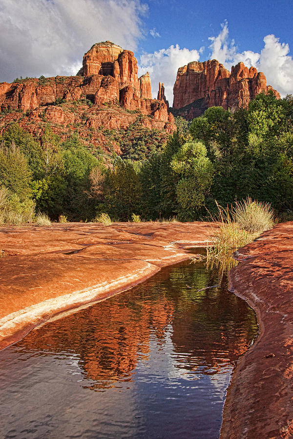 Reflections of Cathedral Rock Photograph by Leda Robertson