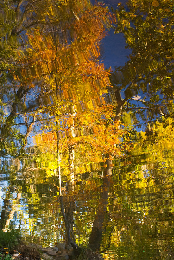 Reflections of Fall - Grasshopper Point Photograph by Bob Coates