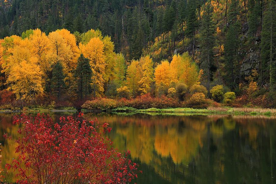 Reflections of fall beauty 2 Photograph by Lynn Hopwood