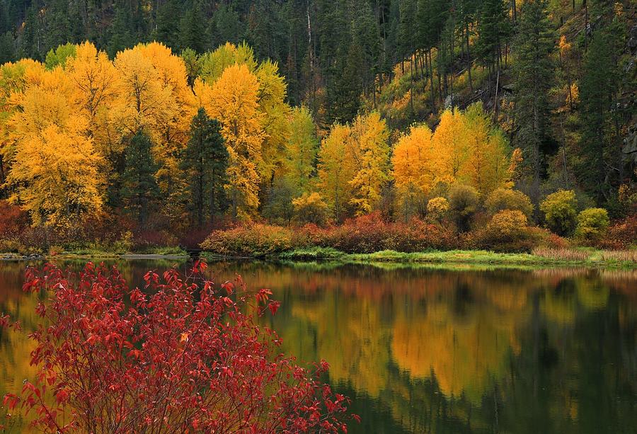 Reflections Of Fall Beauty Photograph by Lynn Hopwood