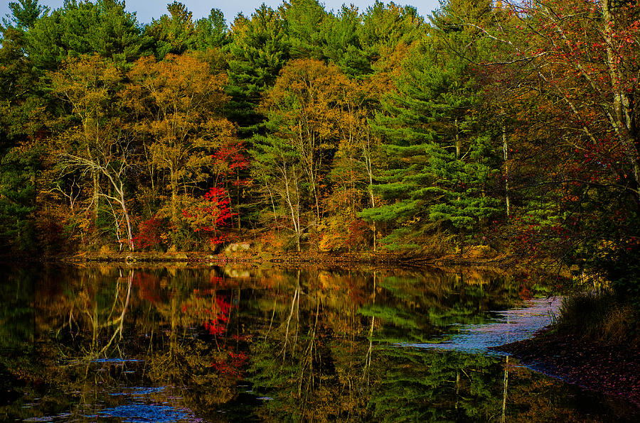Fall Photograph - Reflections Of Fall by Linda Howes