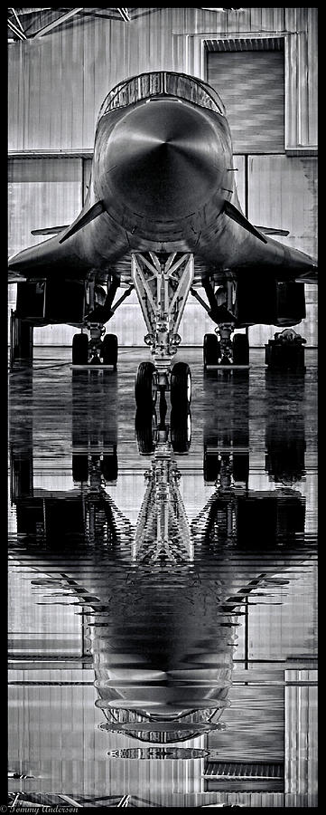 Reflections of Freedom Photograph by Tommy Anderson
