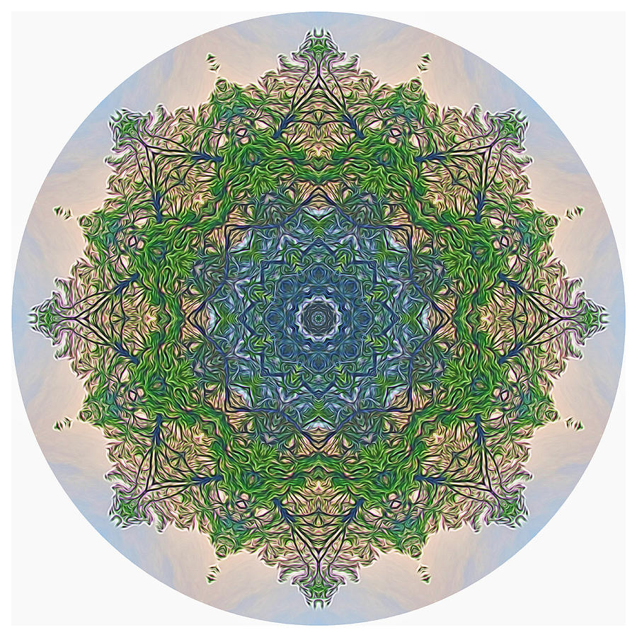 Reflections of Life Mandala Digital Art by Beth Sawickie