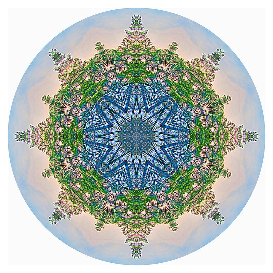 Reflections of Life Mandala 2 Digital Art by Beth Sawickie