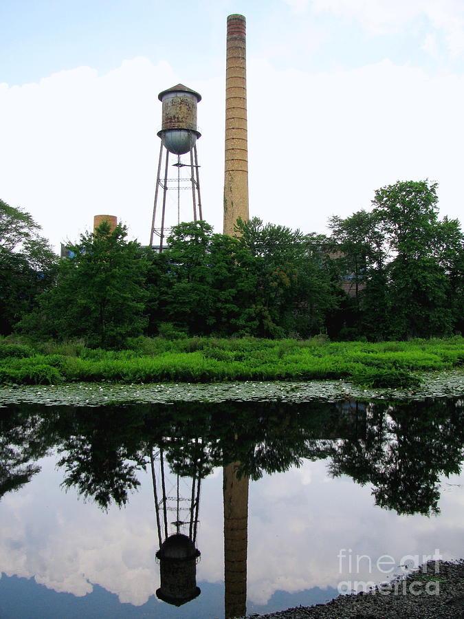 Reflections of Mill Pond Photograph by Colleen Kammerer