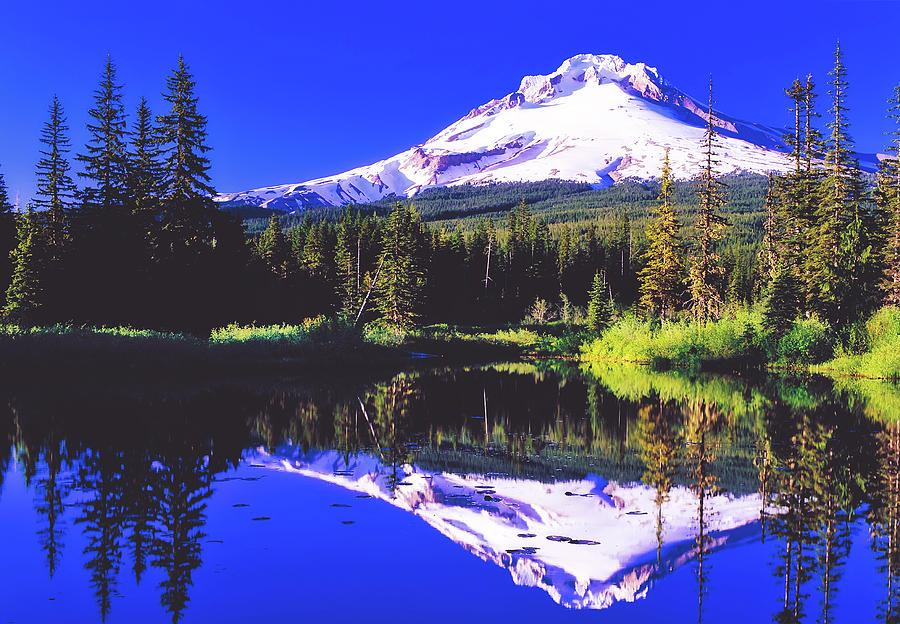 Reflections Of Mount Hood Photograph by Mountain Dreams
