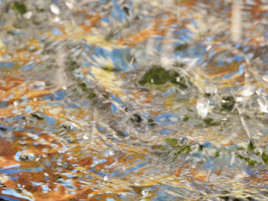 Reflections Of Nature Abstract Photograph by Jan Gelders